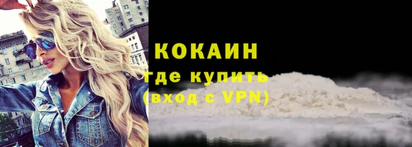 гидра Вяземский