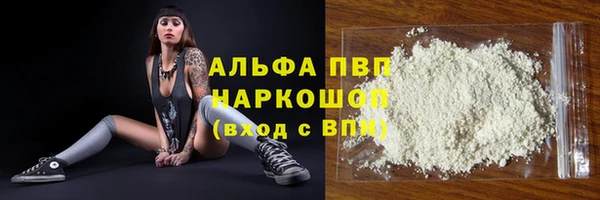 гидра Вяземский
