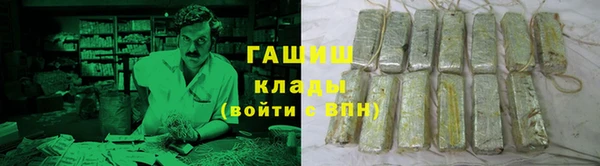 гидра Вяземский