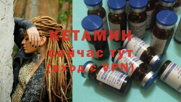 дживик Вязьма