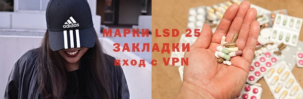 гидра Вяземский