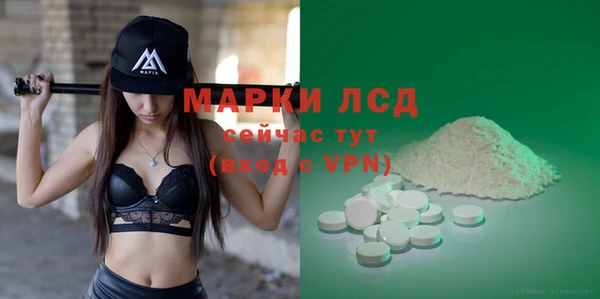 гидра Вяземский