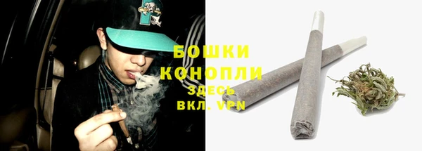 дживик Вязьма