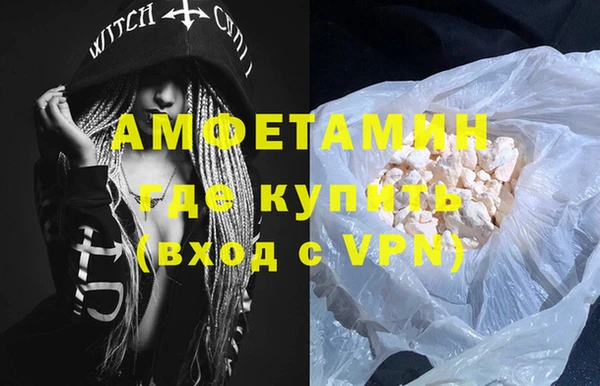 гидра Вяземский