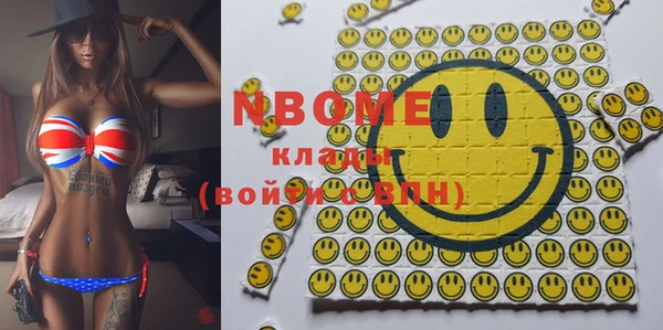 гидра Вяземский