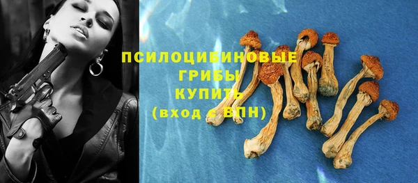 гидра Вяземский