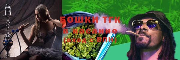 дживик Анива
