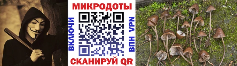 Галлюциногенные грибы GOLDEN TEACHER  Гусиноозёрск 